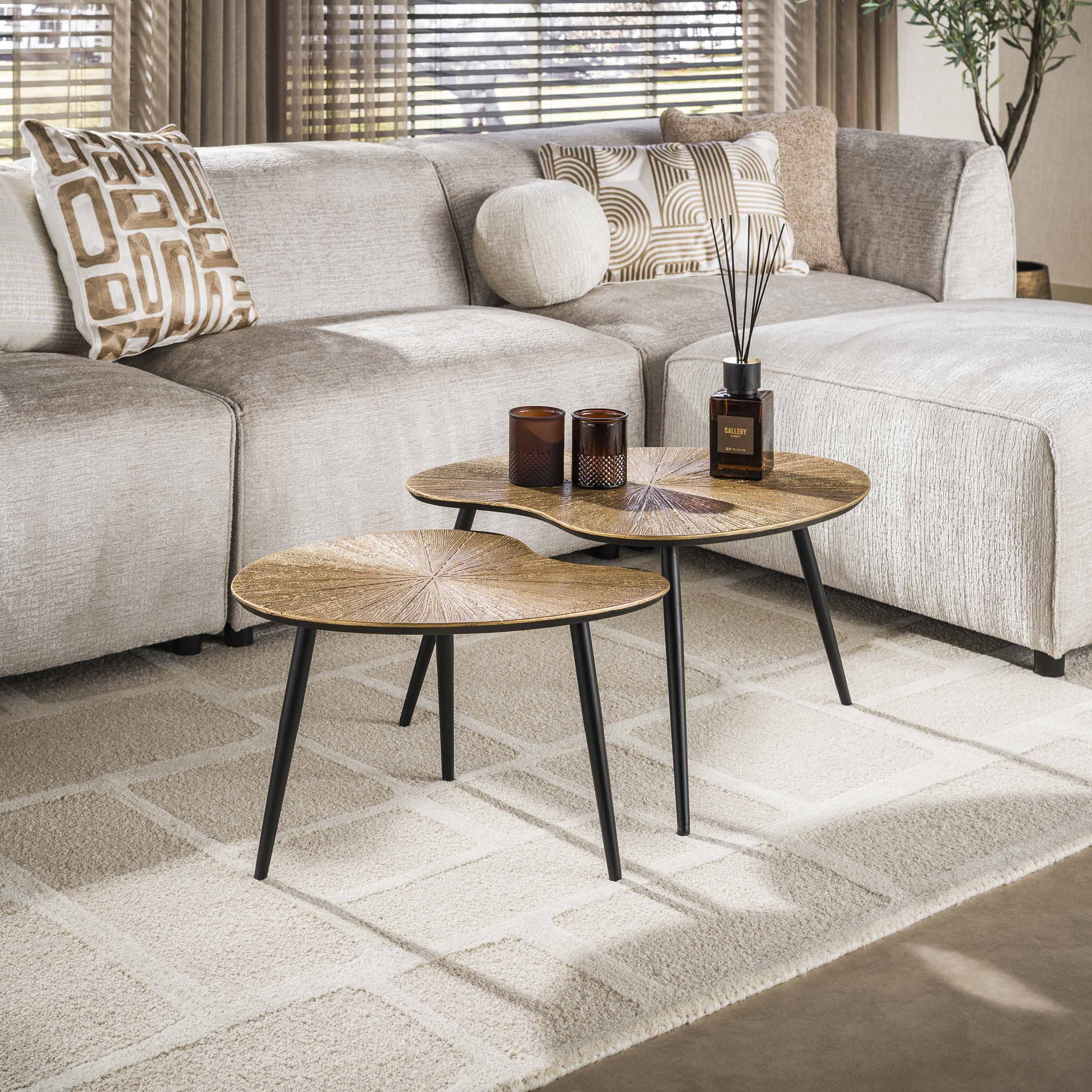 Salontafel Elvora - Organisch - Goud - Set van 2