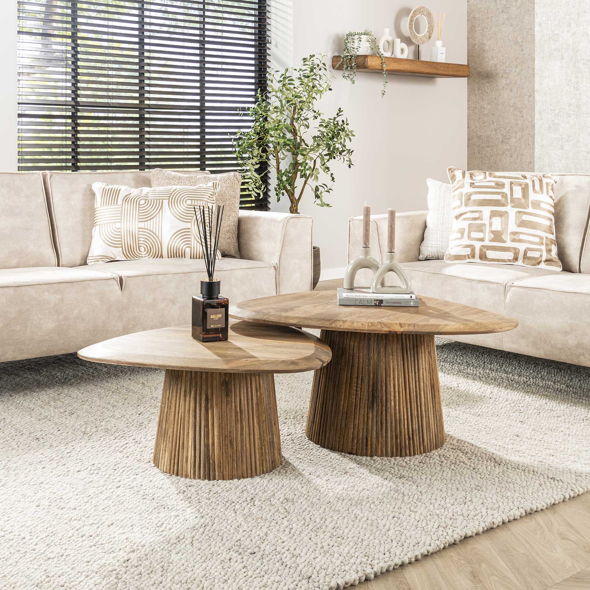 Salontafel Harmonie - Organisch - Bruin - Mangohout - Set van 2