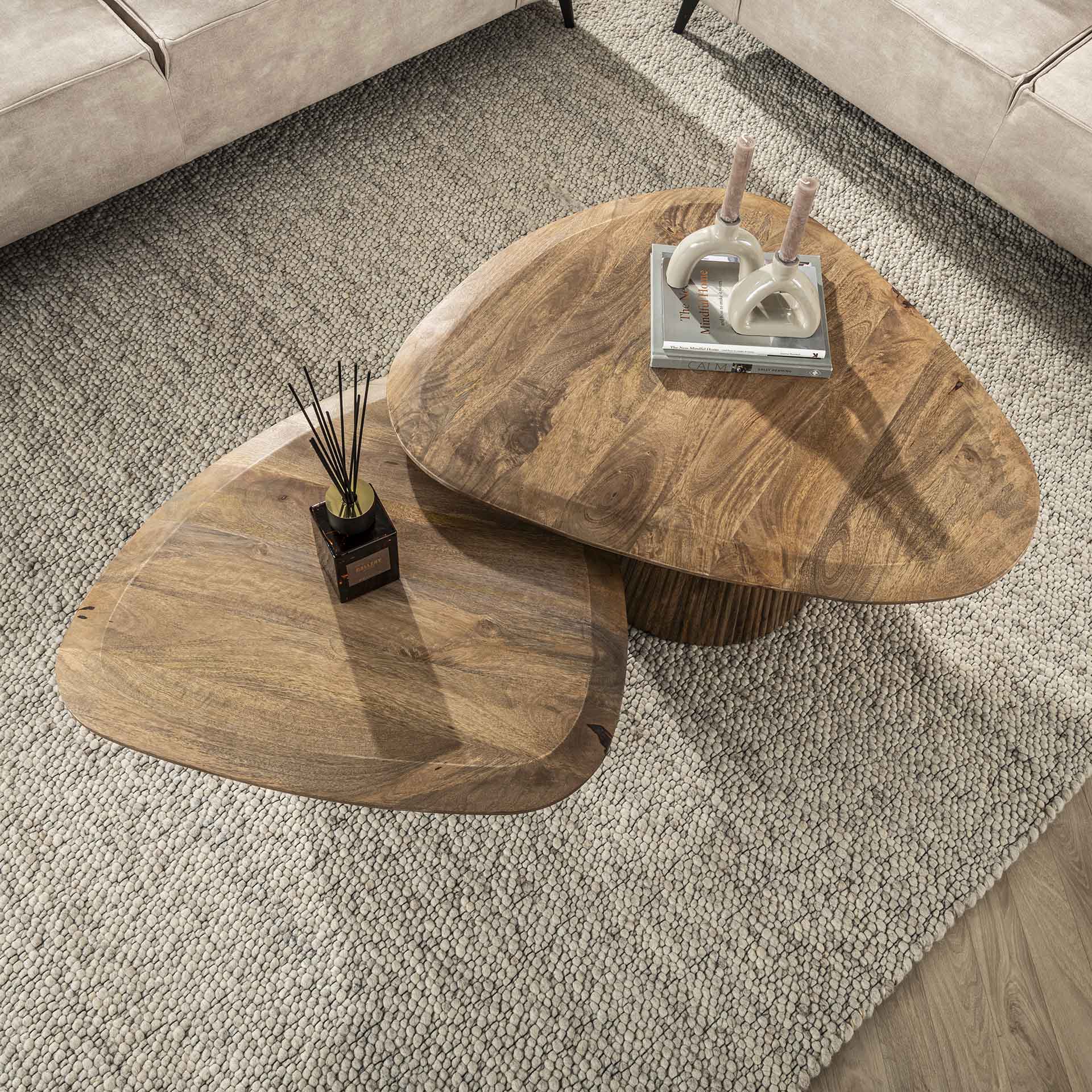 Salontafel Harmonie - Organisch - Bruin - Mangohout - Set van 2